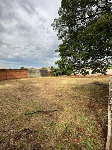 Terrenos à venda por R$360.000,00 em Santa bárbara D` Oeste/SP.